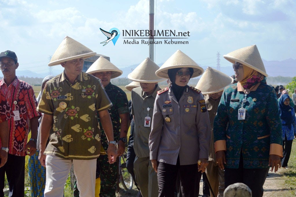Tekan Kerugian Saat Gagal Panen, Petani Diminta Ikut Asuransi Pertanian