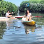 Susur Hutan Mangrove Ayah Kini Bisa Gunakan Kano
