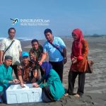 Warga Tegalretno Jadi Contoh Pelestarian Penyu di Kebumen