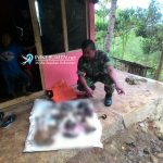 Kerangka Manusia yang di Ditemukan di Karanggayam Berjenis Kelamin Laki-laki