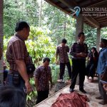 Pamit Nyari Rumput, Warga Buayan ini Ditemukan Tewas Gantung Diri