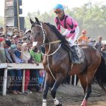 Siang ini, Final Pacuan Kuda Digelar di Ambal
