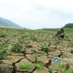 Hujan Tak Kunjung Turun, Volume Air Waduk Sempor Susut Hingga 96 Persen