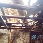 Hujan Deras dan Angin Kencang, Pohon Kelapa Tumbang Timpa Rumah Warga di Ambal