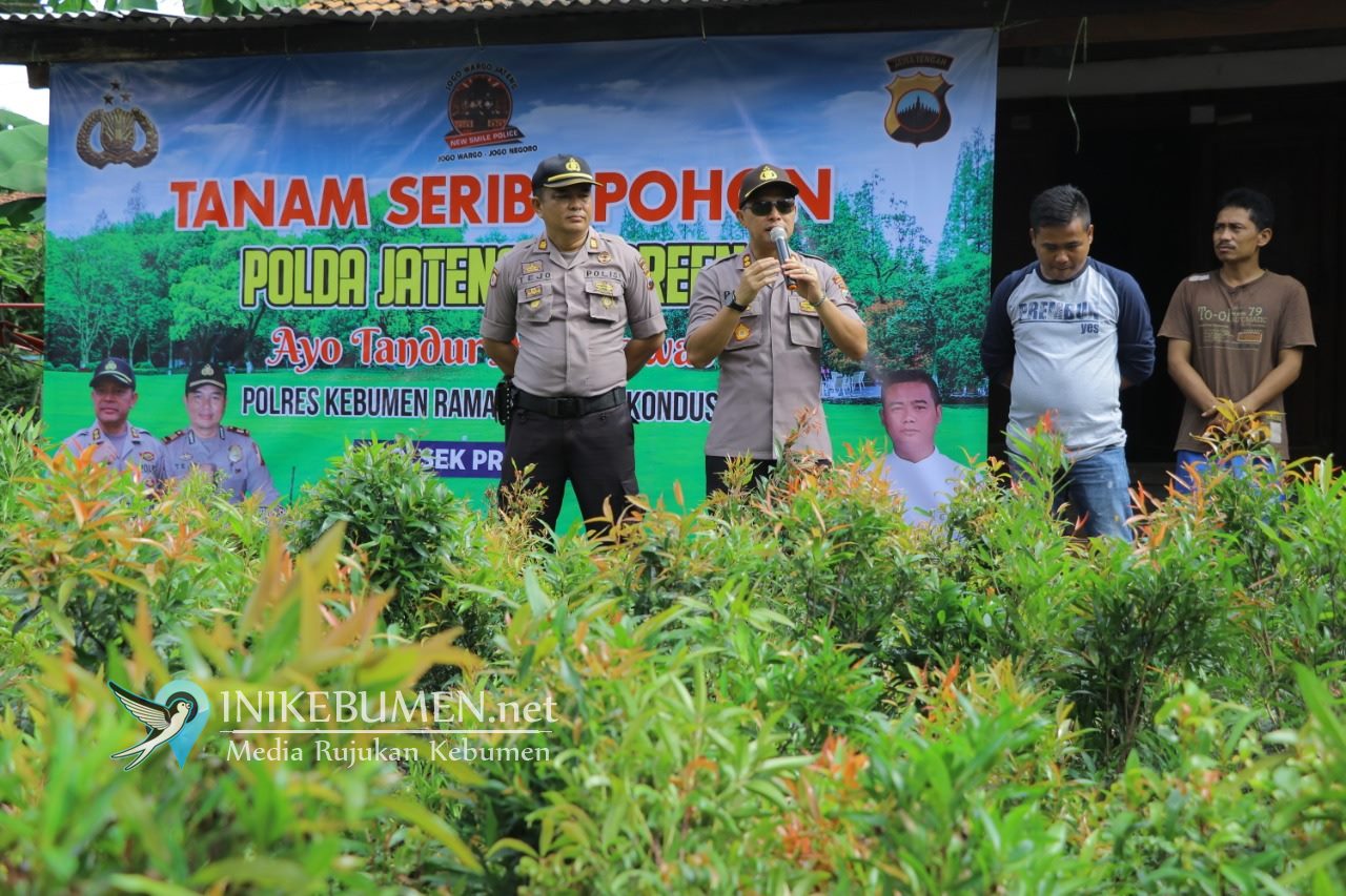 Selamatkan Lingkungan, Seribu Tanaman Pucuk Merah Ditanah di Sidogede Prembun Selamatkan Lingkungan, Seribu Tanaman Pucuk Merah Ditanah di Sidogede Prembun