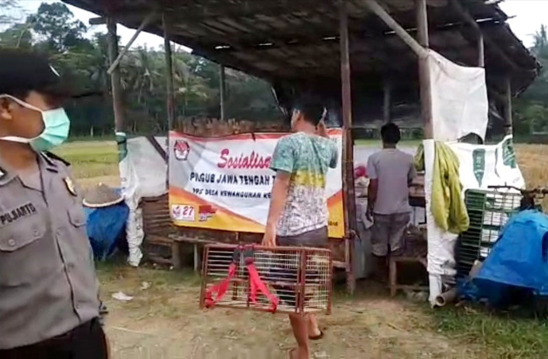 Belasan Pemuda di Petanahan Dibubarkan Polisi saat Bermain Merpati Kolong