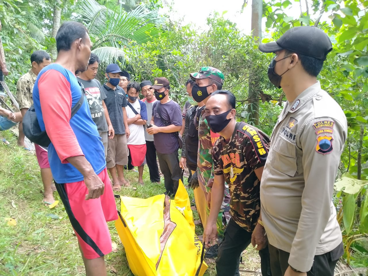 Innalillahi! Senggol Kabel, Penebang Pohon Meninggal Kesetrum Listrik