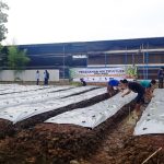Meriahkan HPN, Wartawan Kebumen Bercocok Tanam di Pejagoan